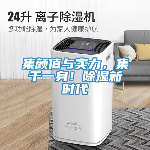 集颜值与实力，集于一身！除湿新时代