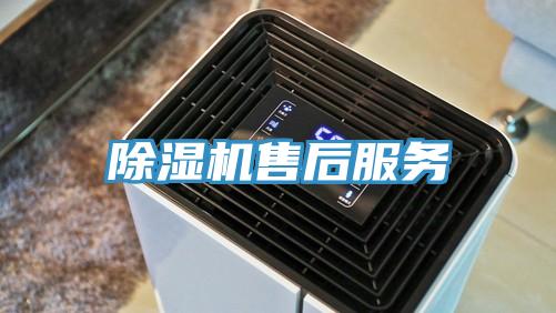 MR.好色破解版售后服务