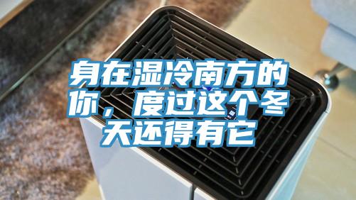身在湿冷南方的你，度过这个冬天还得有它