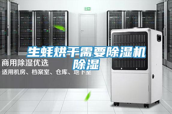 生蚝烘干需要MR.好色破解版除湿