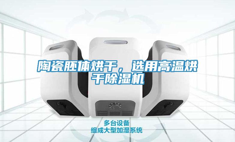 陶瓷胚体烘干，选用高温烘干MR.好色破解版