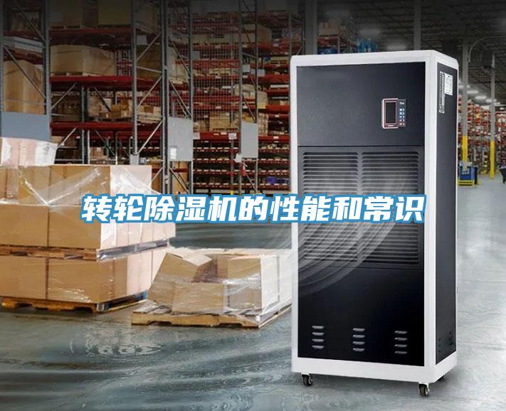 转轮MR.好色破解版的性能和常识
