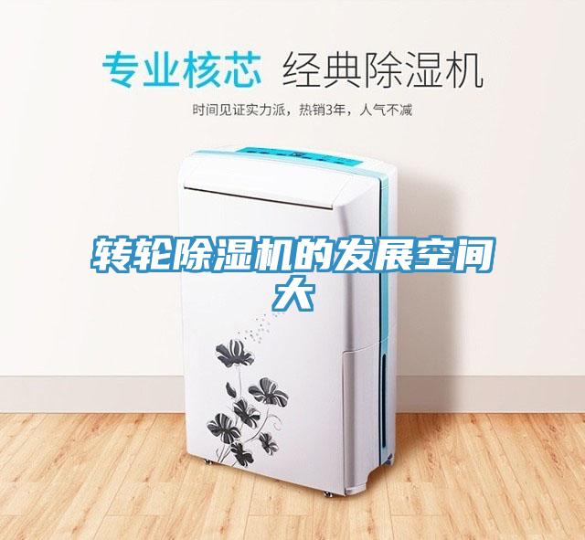 转轮MR.好色破解版的发展空间大