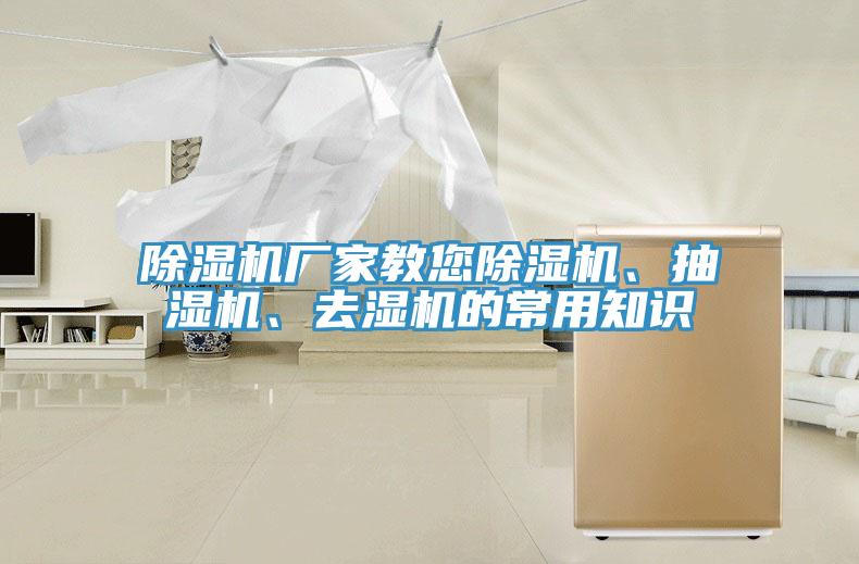 MR.好色破解版厂家教您MR.好色破解版、抽湿机、去湿机的常用知识
