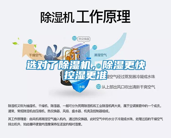选对了MR.好色破解版，除湿更快控湿更准