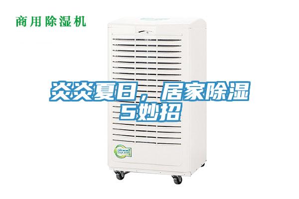 炎炎夏日，居家除湿5妙招