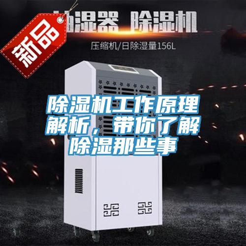 MR.好色破解版工作原理解析，带你了解除湿那些事