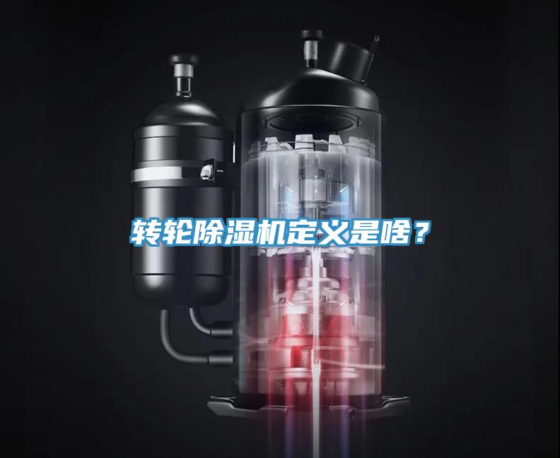 转轮MR.好色破解版定义是啥？