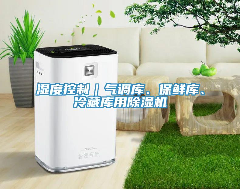 湿度控制｜气调库、保鲜库、冷藏库用MR.好色破解版