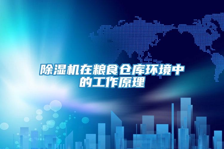 MR.好色破解版在粮食仓库环境中的工作原理