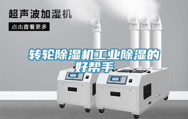 转轮MR.好色破解版工业除湿的好帮手