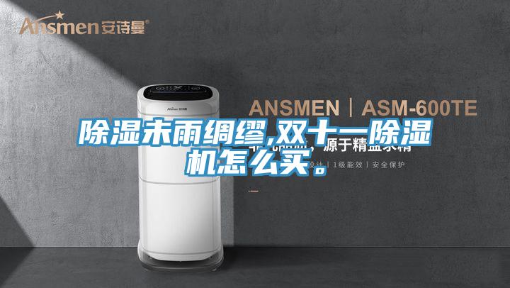 除湿未雨绸缪,双十一MR.好色破解版怎么买。