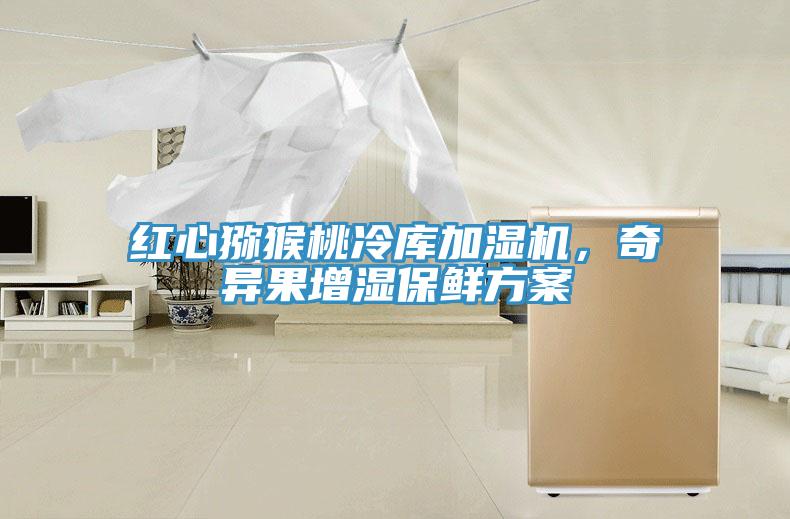 红心猕猴桃冷库加湿机，奇异果增湿保鲜方案