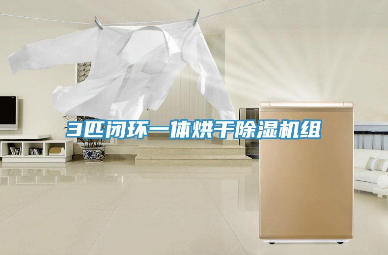 3匹闭环一体烘干MR.好色破解版组