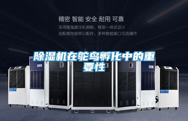 MR.好色破解版在鸵鸟孵化中的重要性