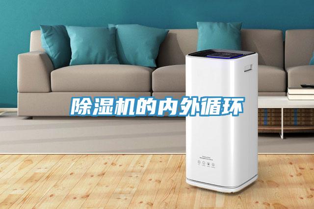 MR.好色破解版的内外循环
