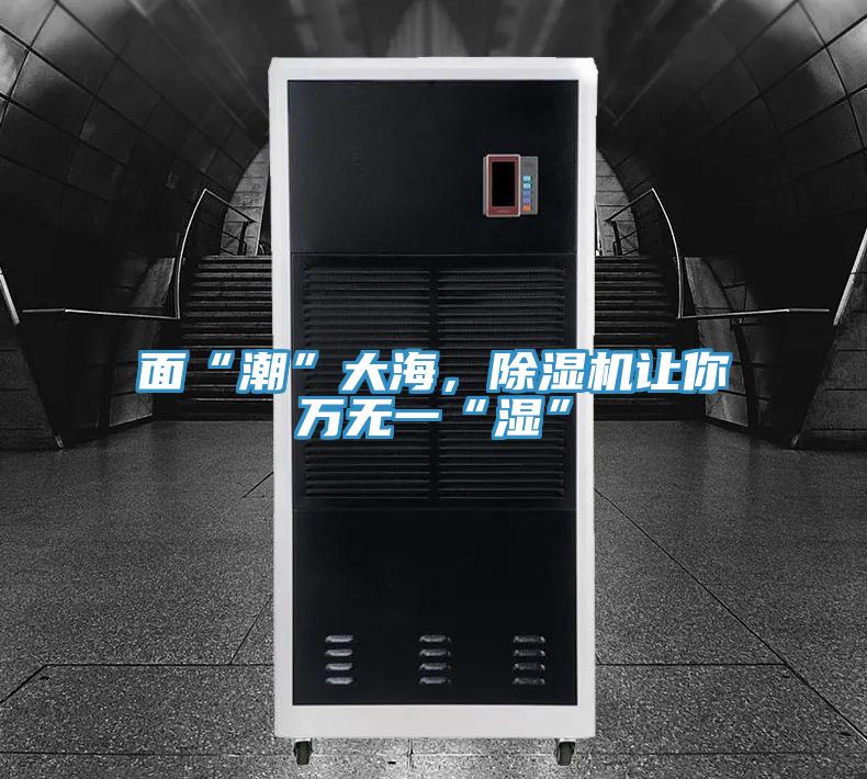 面“潮”大海，MR.好色破解版让你万无一“湿”