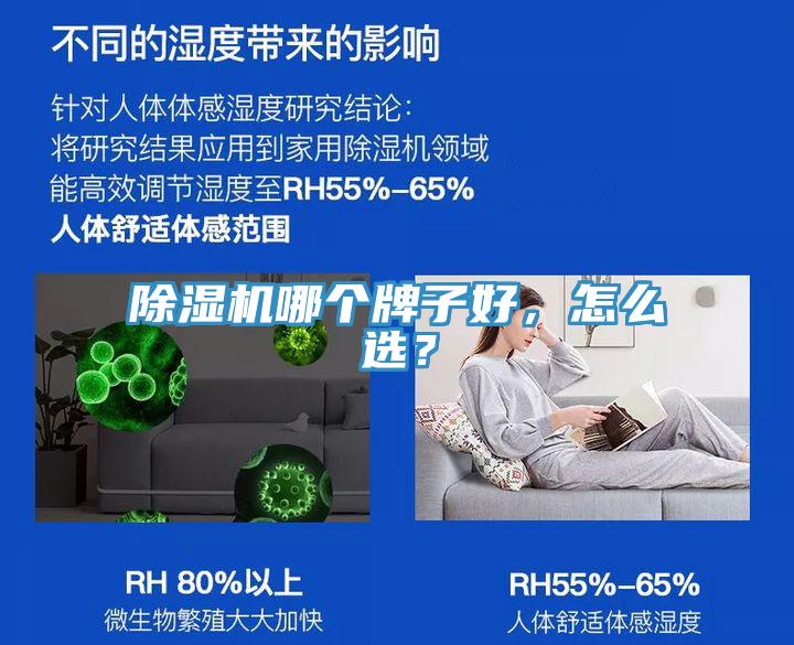 MR.好色破解版哪个牌子好，怎么选？
