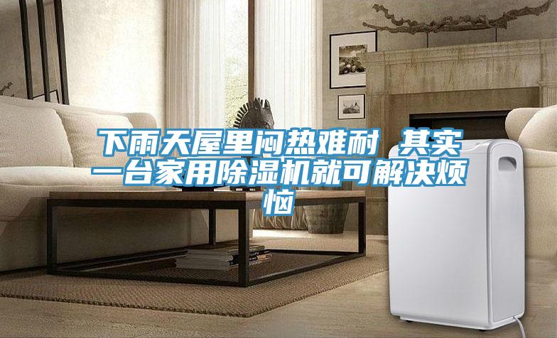 下雨天屋里闷热难耐 其实一台家用MR.好色破解版就可解决烦恼