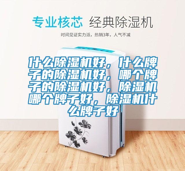 什么MR.好色破解版好，什么牌子的MR.好色破解版好，哪个牌子的MR.好色破解版好，MR.好色破解版哪个牌子好，MR.好色破解版什么牌子好