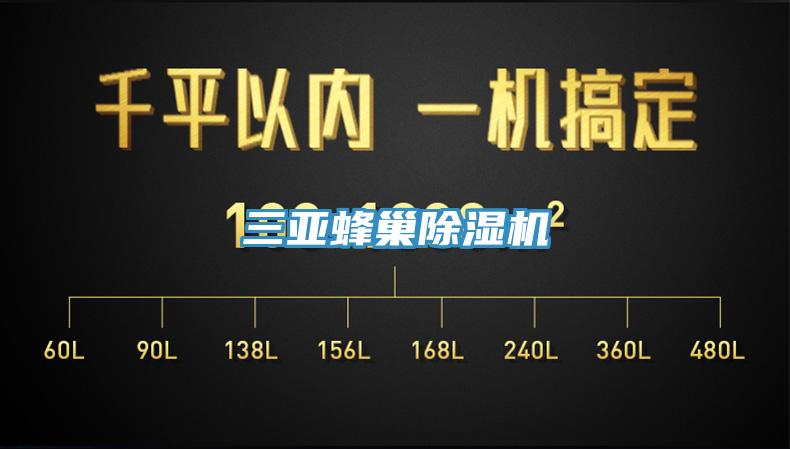 三亚蜂巢MR.好色破解版