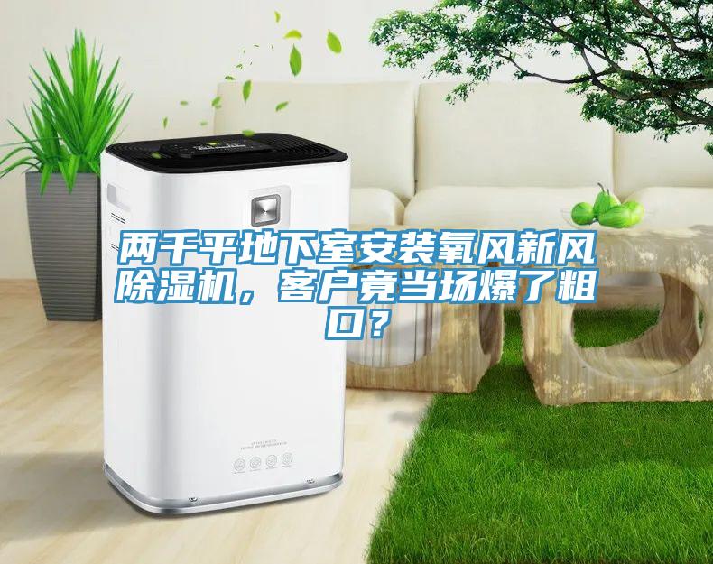两千平地下室安装氧风新风MR.好色破解版，客户竟当场爆了粗口？