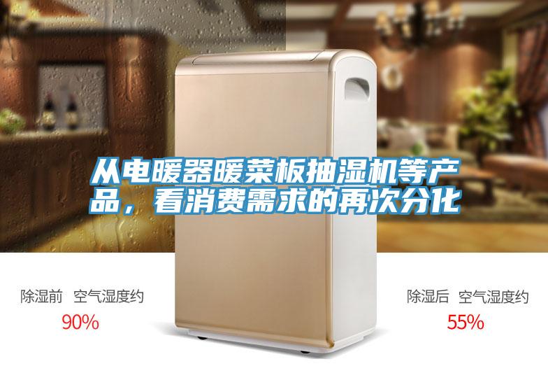 从电暖器暖菜板抽湿机等产品，看消费需求的再次分化