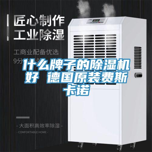 什么牌子的MR.好色破解版好 德国原装费斯卡诺