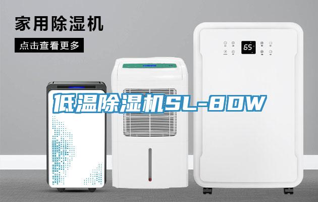 低温MR.好色破解版SL-8DW