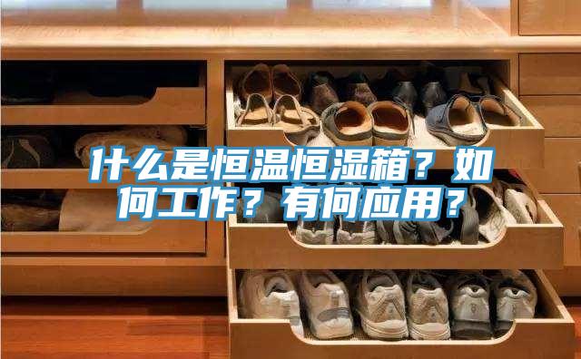 什么是恒温恒湿箱？如何工作？有何应用？