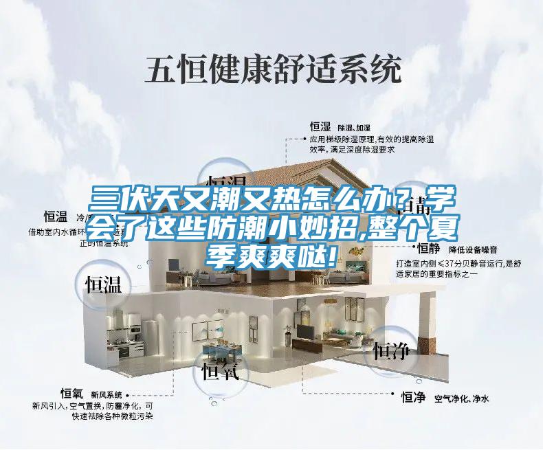 三伏天又潮又热怎么办？学会了这些防潮小妙招,整个夏季爽爽哒!