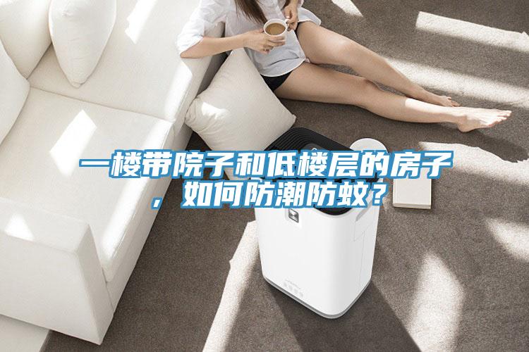 一楼带院子和低楼层的房子，如何防潮防蚊？