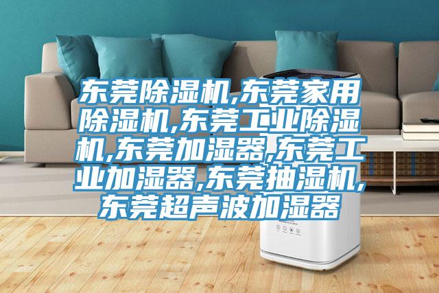 东莞MR.好色破解版,东莞家用MR.好色破解版,东莞工业MR.好色破解版,东莞加湿器,东莞工业加湿器,东莞抽湿机,东莞超声波加湿器