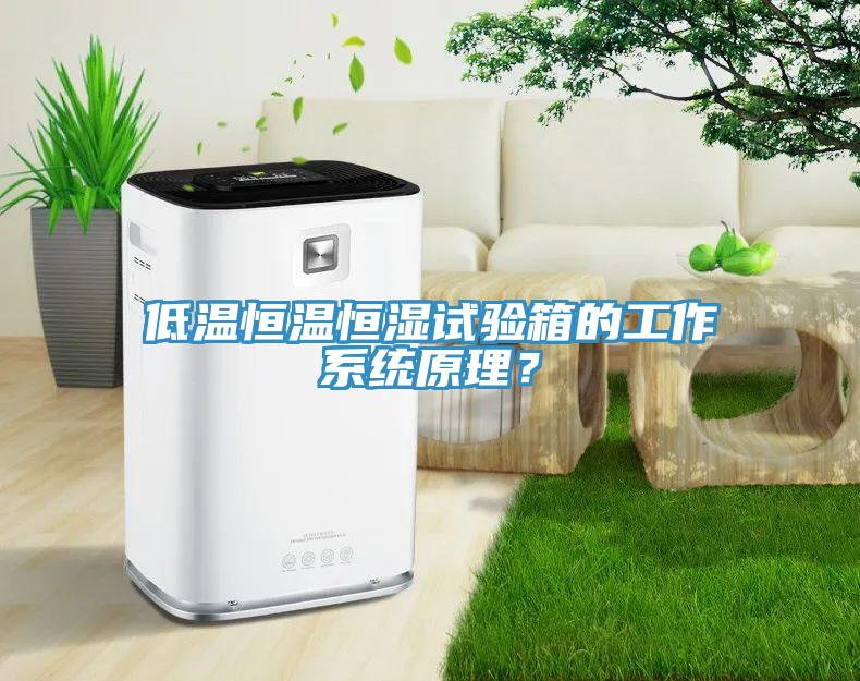 低温恒温恒湿试验箱的工作系统原理？