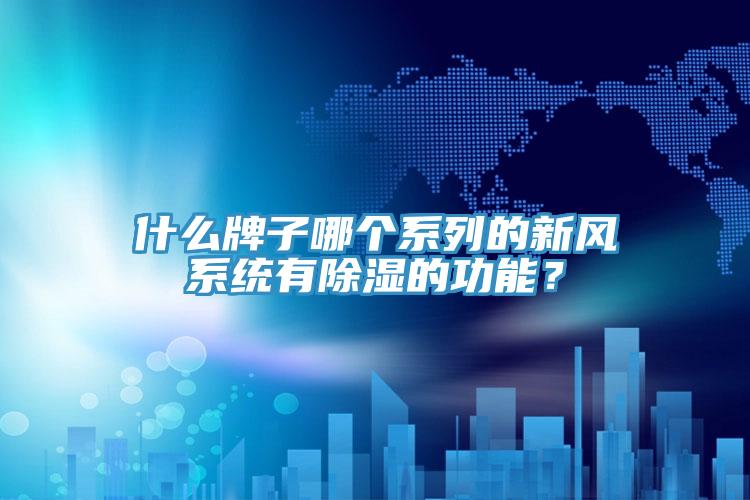 什么牌子哪个系列的新风系统有除湿的功能？