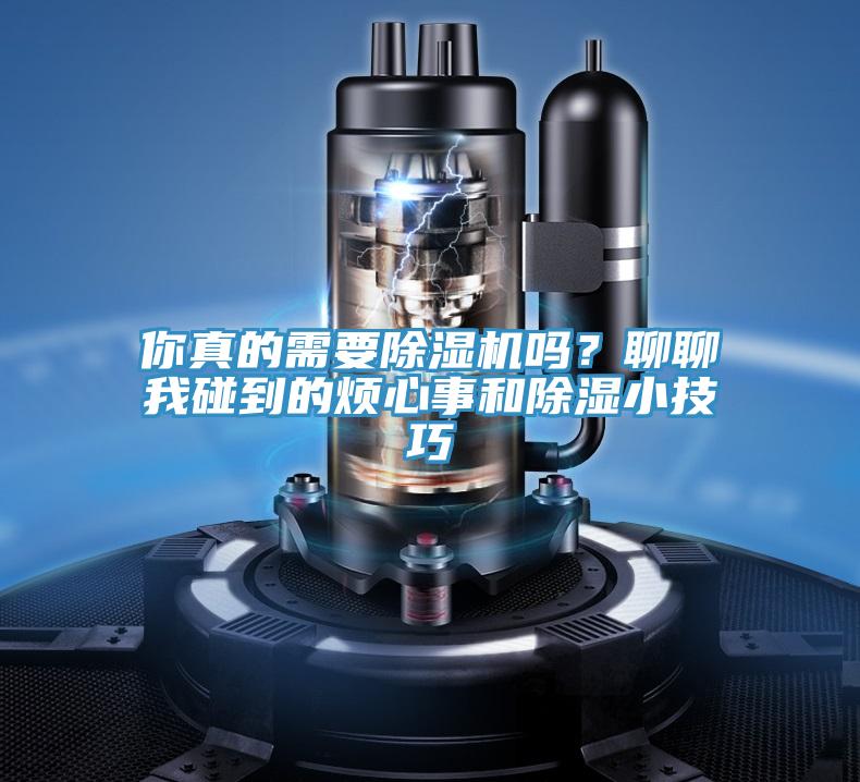 你真的需要MR.好色破解版吗？聊聊我碰到的烦心事和除湿小技巧