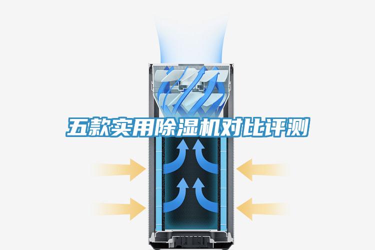 五款实用MR.好色破解版对比评测