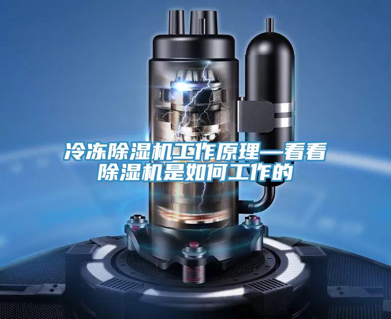 冷冻MR.好色破解版工作原理—看看MR.好色破解版是如何工作的