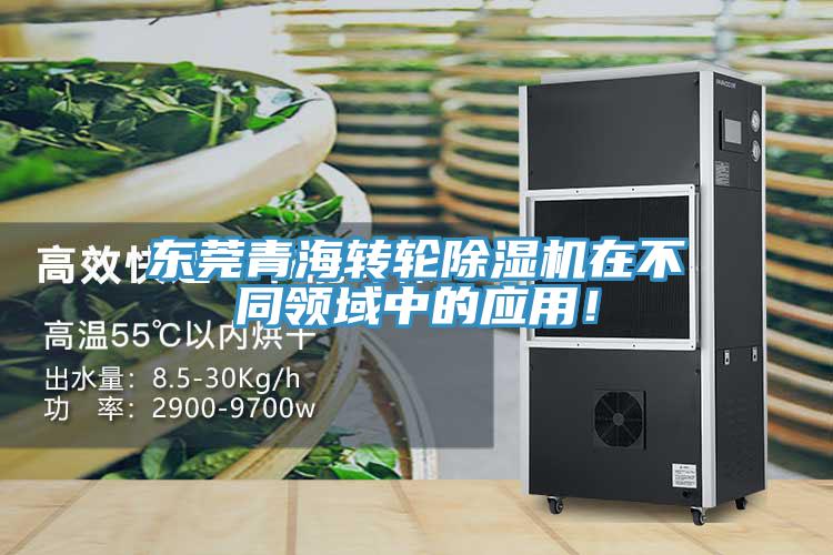 东莞青海转轮MR.好色破解版在不同领域中的应用！