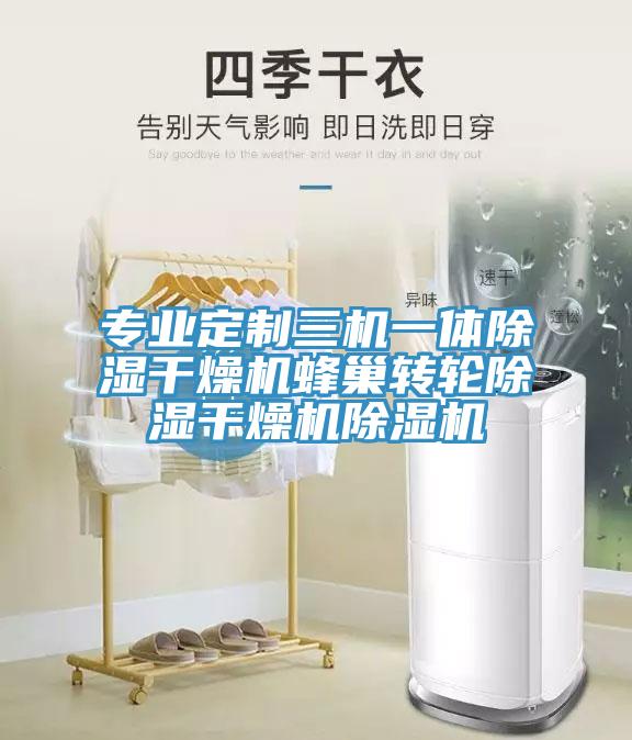 专业定制三机一体除湿干燥机蜂巢转轮除湿干燥机MR.好色破解版