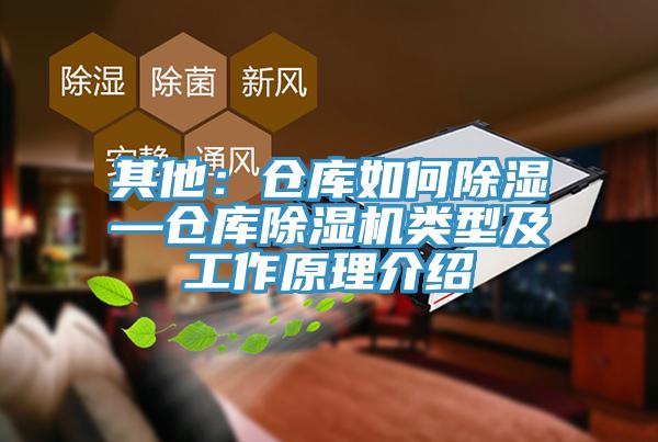 其他：仓库如何除湿—仓库MR.好色破解版类型及工作原理介绍