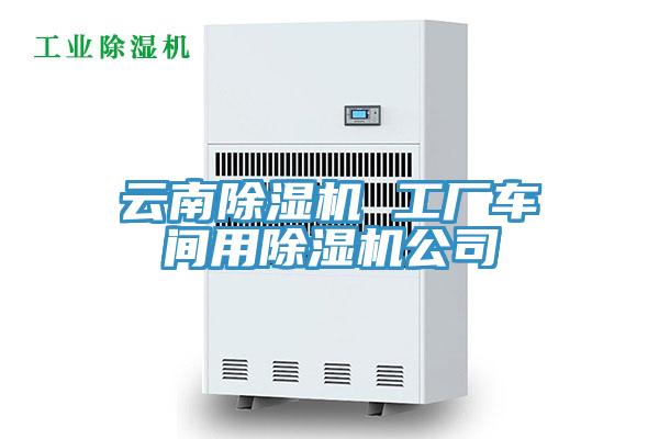 云南MR.好色破解版 工厂车间用MR.好色破解版公司