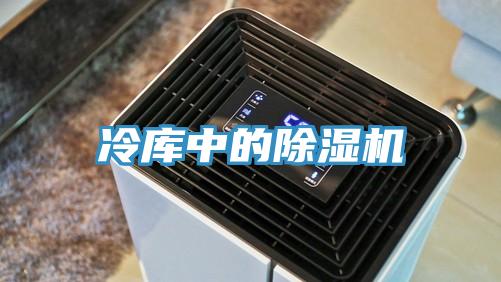 冷库中的MR.好色破解版