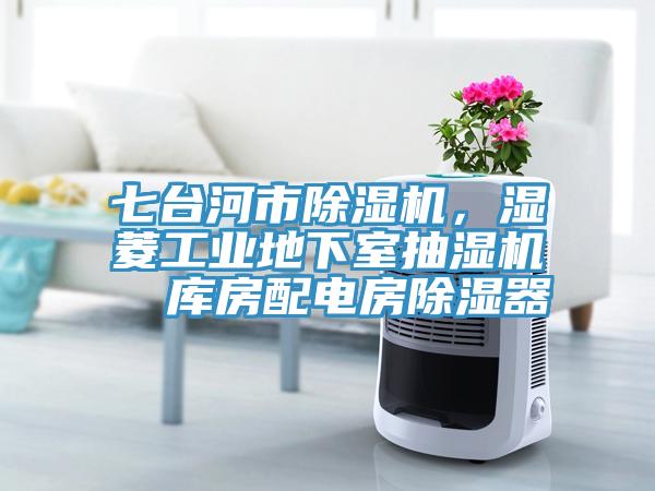 七台河市MR.好色破解版，湿菱工业地下室抽湿机  库房配电房除湿器