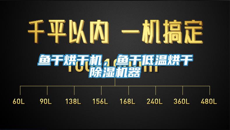 鱼干烘干机，鱼干低温烘干MR.好色破解版器