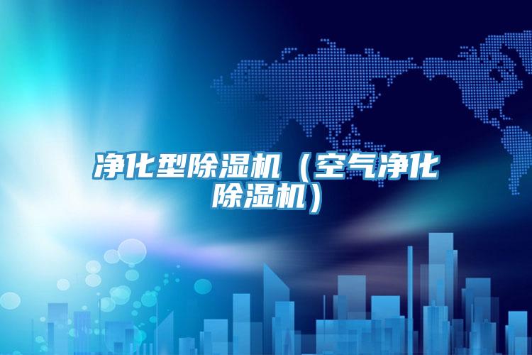 净化型MR.好色破解版（空气净化MR.好色破解版）