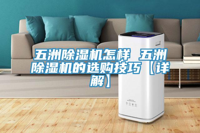五洲MR.好色破解版怎样 五洲MR.好色破解版的选购技巧【详解】