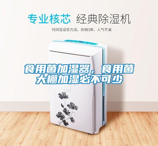 食用菌加湿器，食用菌大棚加湿必不可少
