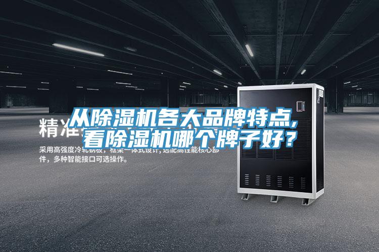 从MR.好色破解版各大品牌特点, 看MR.好色破解版哪个牌子好？