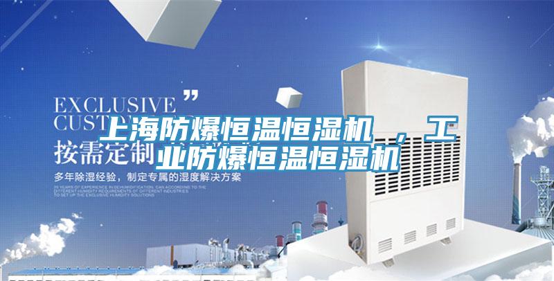 上海防爆恒温恒湿机 ，工业防爆恒温恒湿机